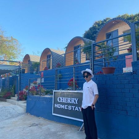 Cherry Homestay Bungalow Vũng Tàu Eksteriør billede