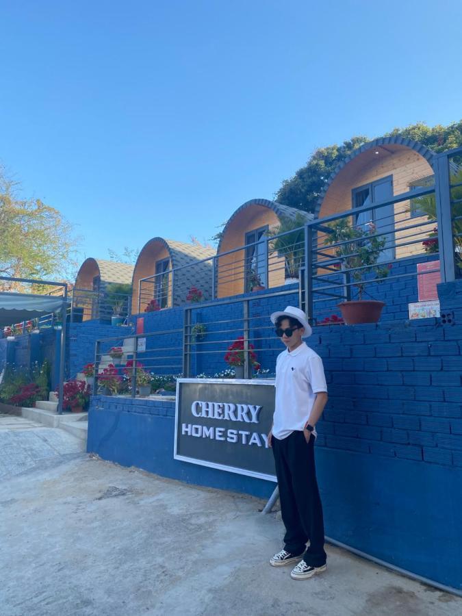 Cherry Homestay Bungalow Vũng Tàu Eksteriør billede